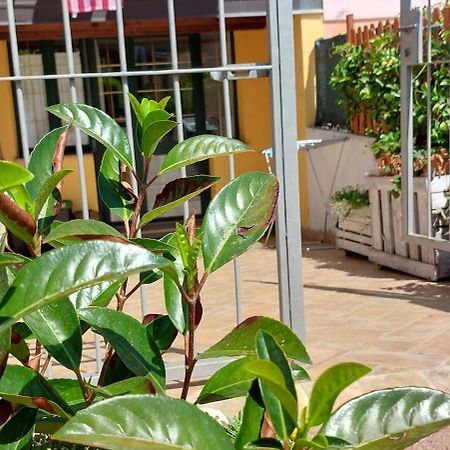 Casa Vacanze Laura ตอร์โตลี ภายนอก รูปภาพ