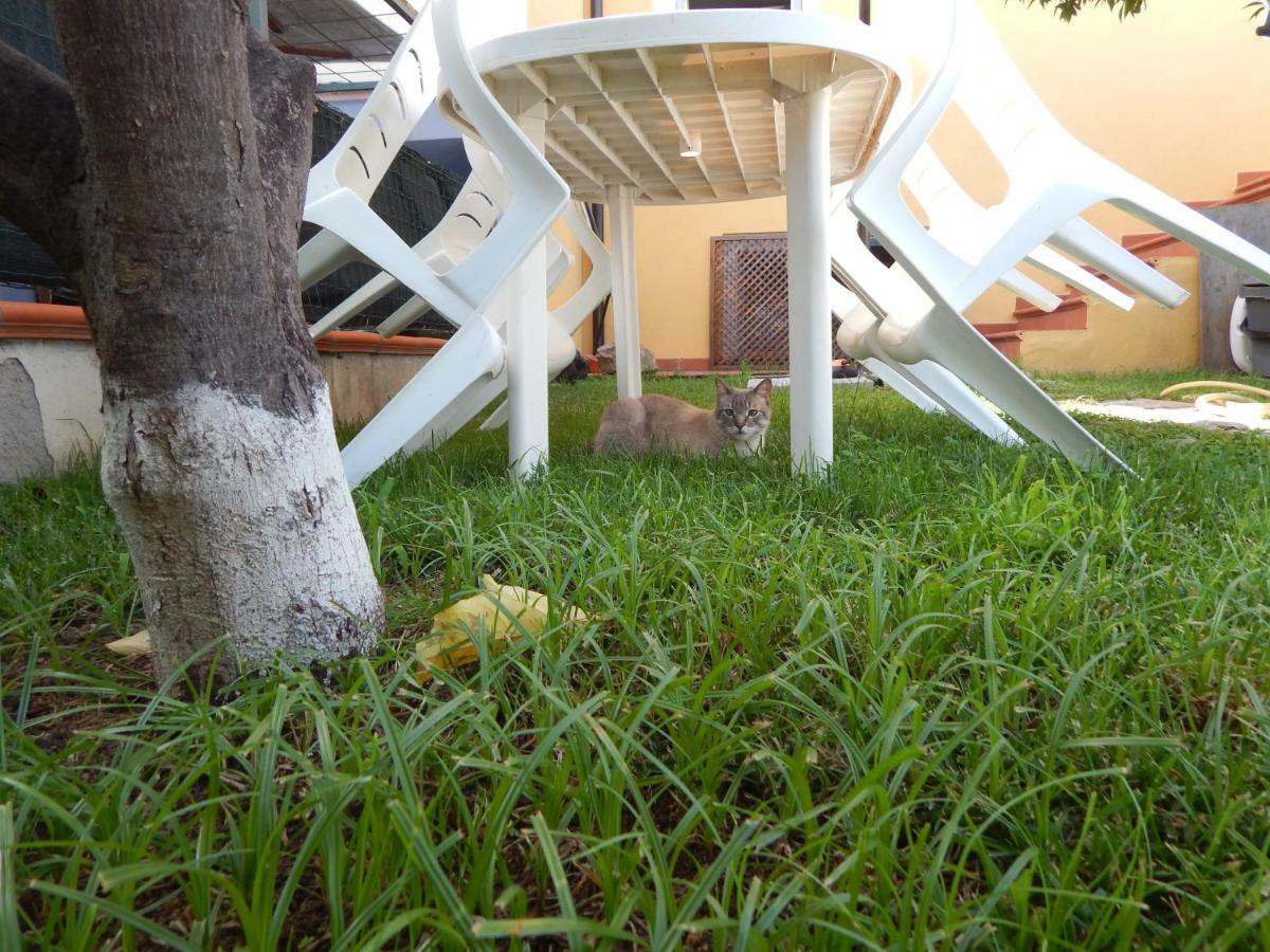 Casa Vacanze Laura ตอร์โตลี ภายนอก รูปภาพ